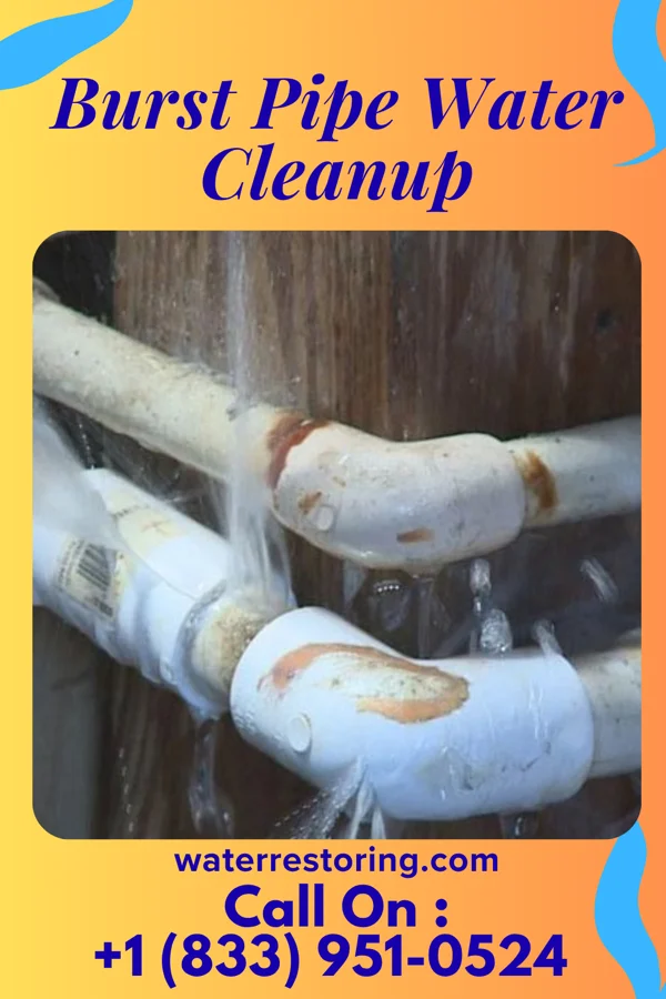 Burst Pipe Water Cleanup in West Mountain, CT