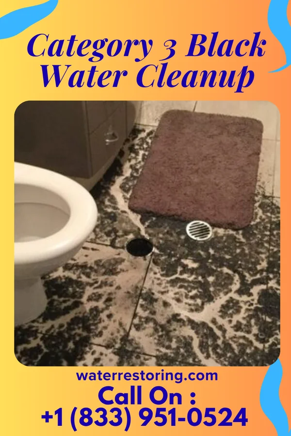 Category 3 Black Water Cleanup in West Mountain, CT